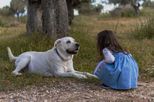 Jakie są najłagodniejsze psy dla dzieci?